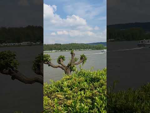 Bad Breisig am Rhein