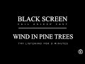 Sleep - Black Screen - Wind in Pine Trees - Fall Asleep Fast