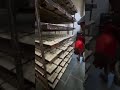 Pav making in Factory 🔥😱🤯 #youtubeshorts