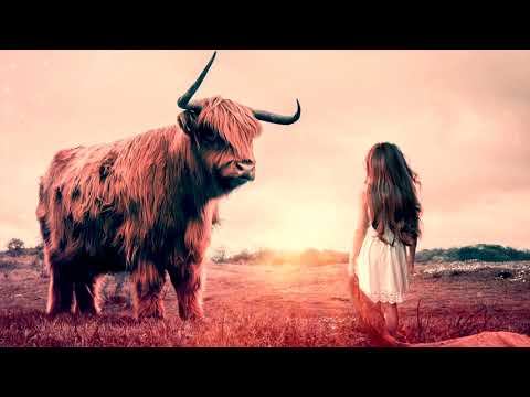 CH14 2.3.  Adrian Zetocha - Kristóf Mézes 1:0