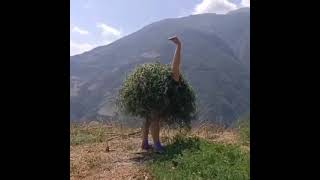 Ostrich man!😂 Real Creation #surprising #funvideo #funny #giggle