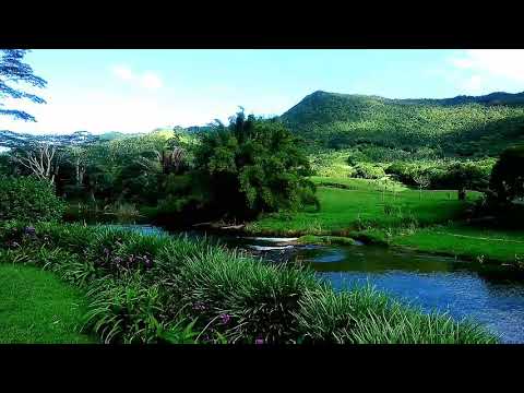 Mauritius Zipline - Domaine de l'etoile