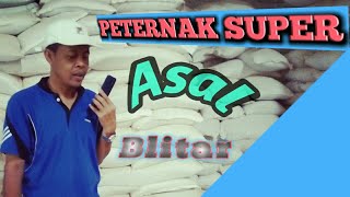 Download lagu Peternak Sapi Super || Peternakan Sapi Super Besar Di Blitar || Milik Pak Nur mp3 Download lagu Peternak Sapi Super || Peternakan Sapi Super Besar Di Blitar || Milik Pak Nur mp3