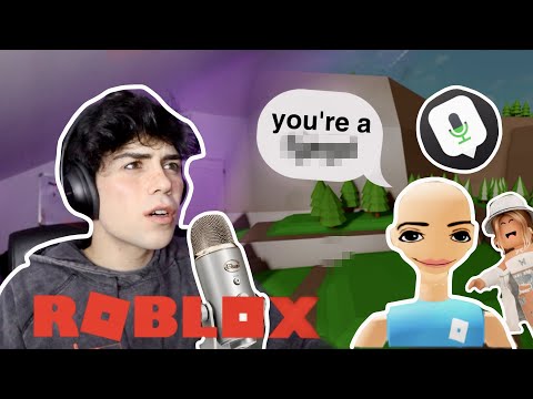 i tried ROBLOX voice chat and got ATTACKED...