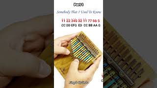 Download lagu Somebody That I Used To Know (Gotye) - Part 1 mp3