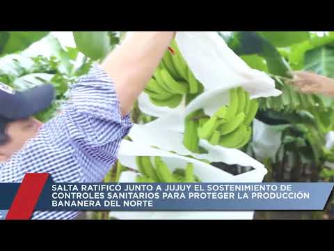 Resumen de noticias 31-07-2026