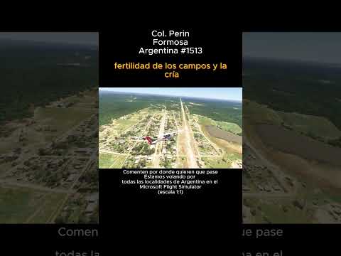 Col. Perin, Formosa desde el Microsoft Flight Simulator #coloniaperin #formosa #Msfs #argentina