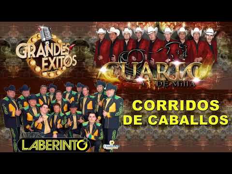 GRUPO LABERINTO & GRUPO CUARTO DE MILLA CORRIDOS DE CABALLOS 2020