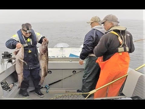 download lagu mp3 mp4 Hmb Fishing, download lagu Hmb Fishing gratis, unduh video klip Hmb Fishing