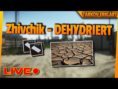So geht: The Survivalist Path - Zhivchik - Tarkov erklärt