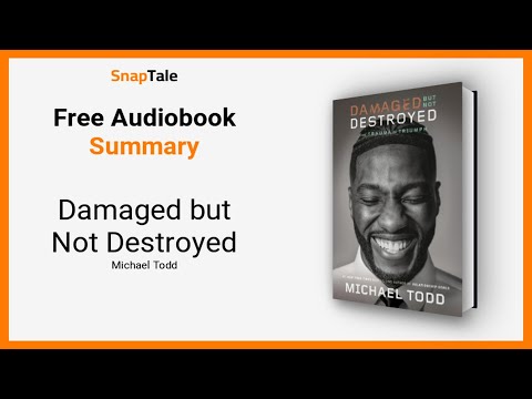 Damaged but Not Destroyed by Michael Todd: 11 Minute Summary