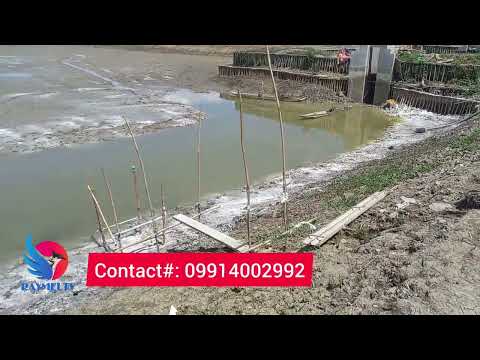 Paghahanda ng Earth Pond Bago lagyan ng Bagong Isda