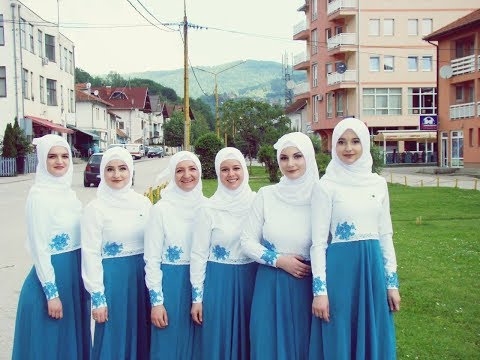 Merak bosanski - VIS Merak