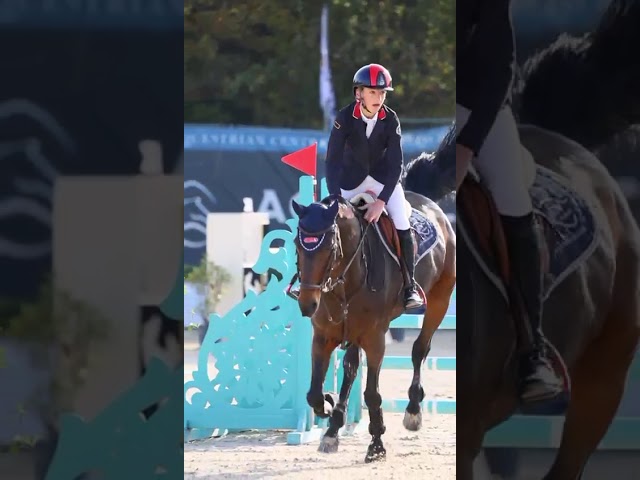 Jument Holsteiner A vendre 2011 Bai