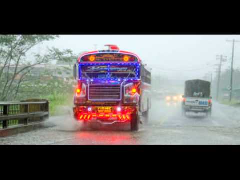 Mr. Fox Y El Velaxx - El Bus