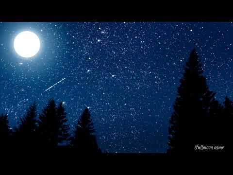 1 ora di dolce relax sotto il cielo stellato con il canto degli uccelli