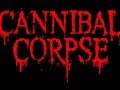 CANNIBAL CORPSE   sentenced to burn