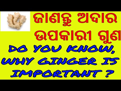 ଅଦାର ଉପକାରିତା,ODIA Benefits of ginger,odia health tips of ginger,varkha mohapatra,odia healthtips Video
