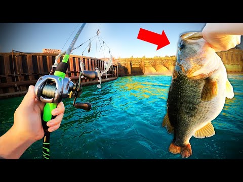 YouTube video about: What is pb in fishing?