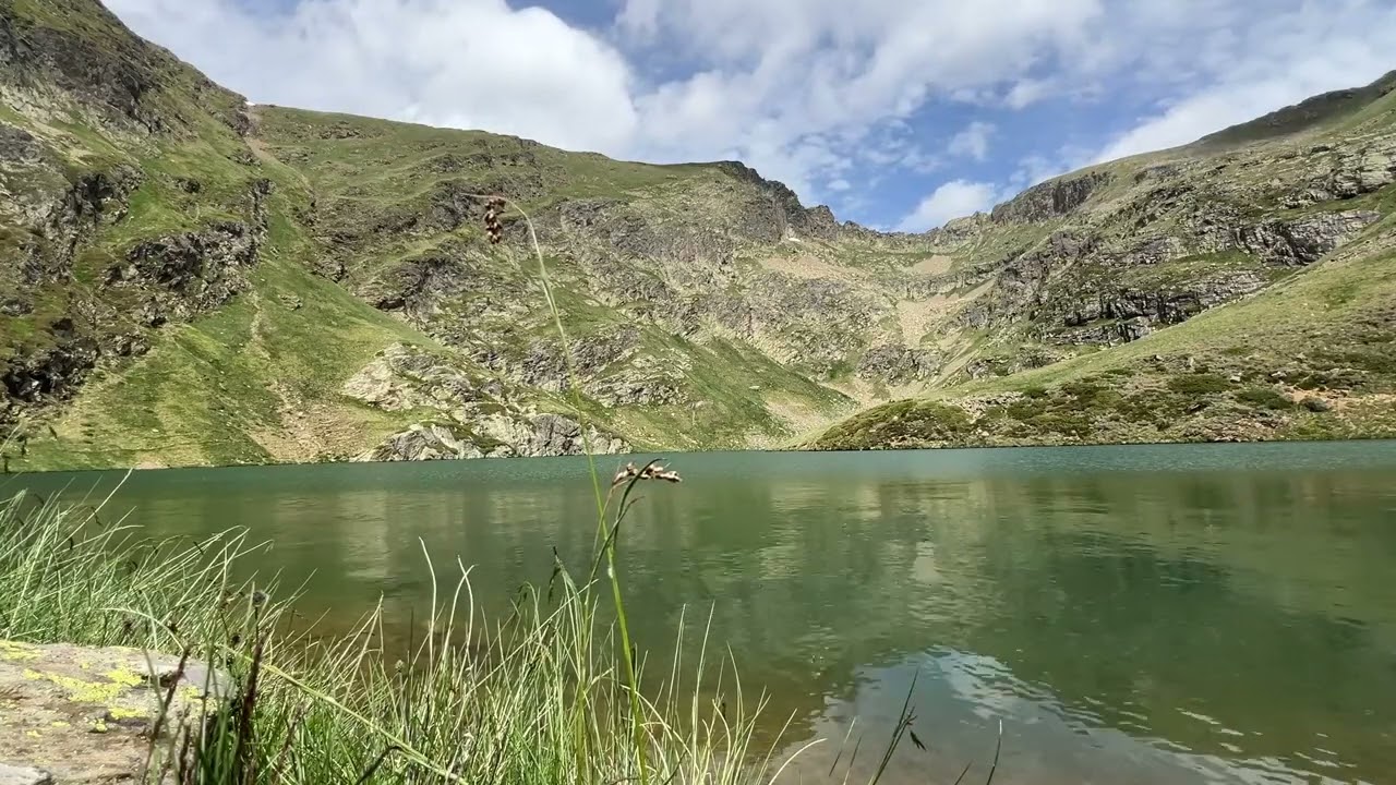 Comment devenir polymathe ?