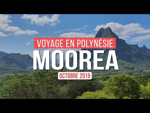 VOYAGE EN POLYNÉSIE | MOOREA L'ENSORCELEUSE  !