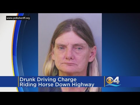 Woman Charged With Being Drunk On A Horse