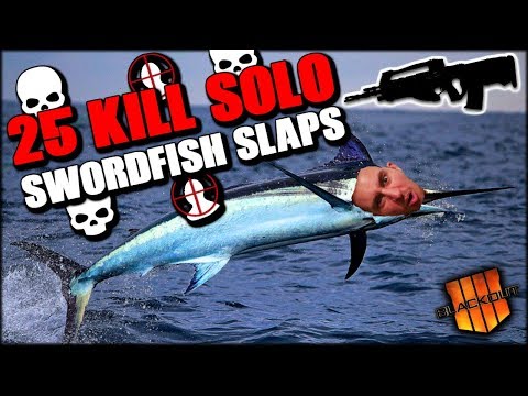 INSANE 25 KILL SOLO WITH A SWORDFISH?!?! THIS GUN IS INSANE! HIGH KILL SOLO BLACKOUT WIN