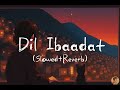 Dil Ibaadat Kar Raha Hai Emraan Hashmi Soha Ali Khan KK Pritam Tum Mile Lofi Lamhe Music