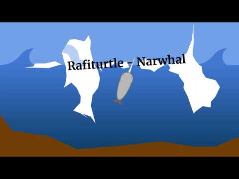 Rafiturtle - Narwhal