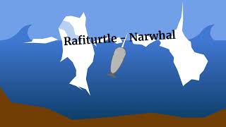 Rafiturtle - Narwhal