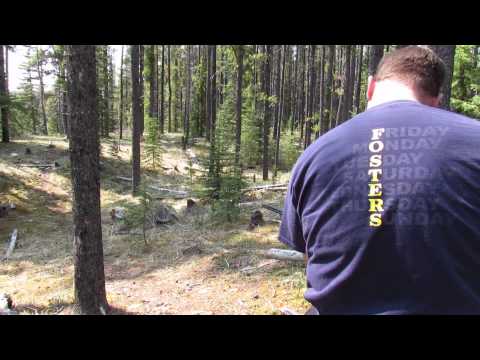 shootinginforestry 011