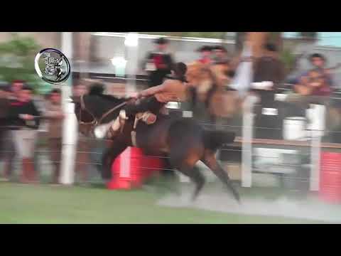 Campereada de los Hnos  Pautasso en Colonia Macias Santa Fé   Apadrinadores de E  R    Octubre 2025