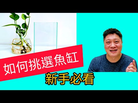 魚缸選擇