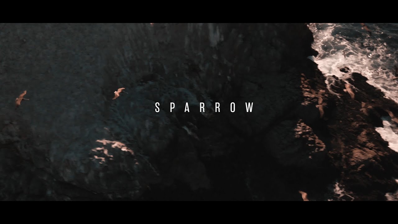 Lauren Monroe - Sparrow (Official Music Video)