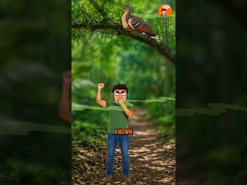 Defying bird evolution