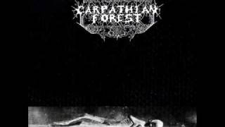 Carpathian Forest - In Silence I Observe