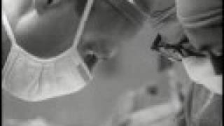 Dday One - Dying Heart,  Heavy Migration instrumental hip hop, samplist beatmaker, content label