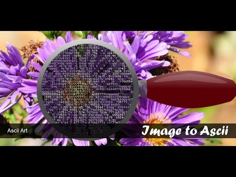 Image to ASCII Video