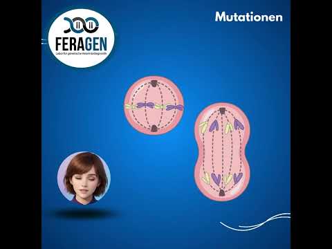 🔬 Was sind Mutationen? 🧬