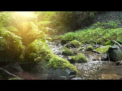 4K HDR Autumn Cascade - Waterfall Sounds - White Water - Relaxing Forest Ambiance Video