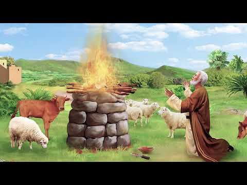 Faaruu Ortodoksi Tawaahidoo Afaan Oromiffaa "Hin Sodaatiin" F/ttuu Burtukaan Asheetuu.OCN Daawwadhaa