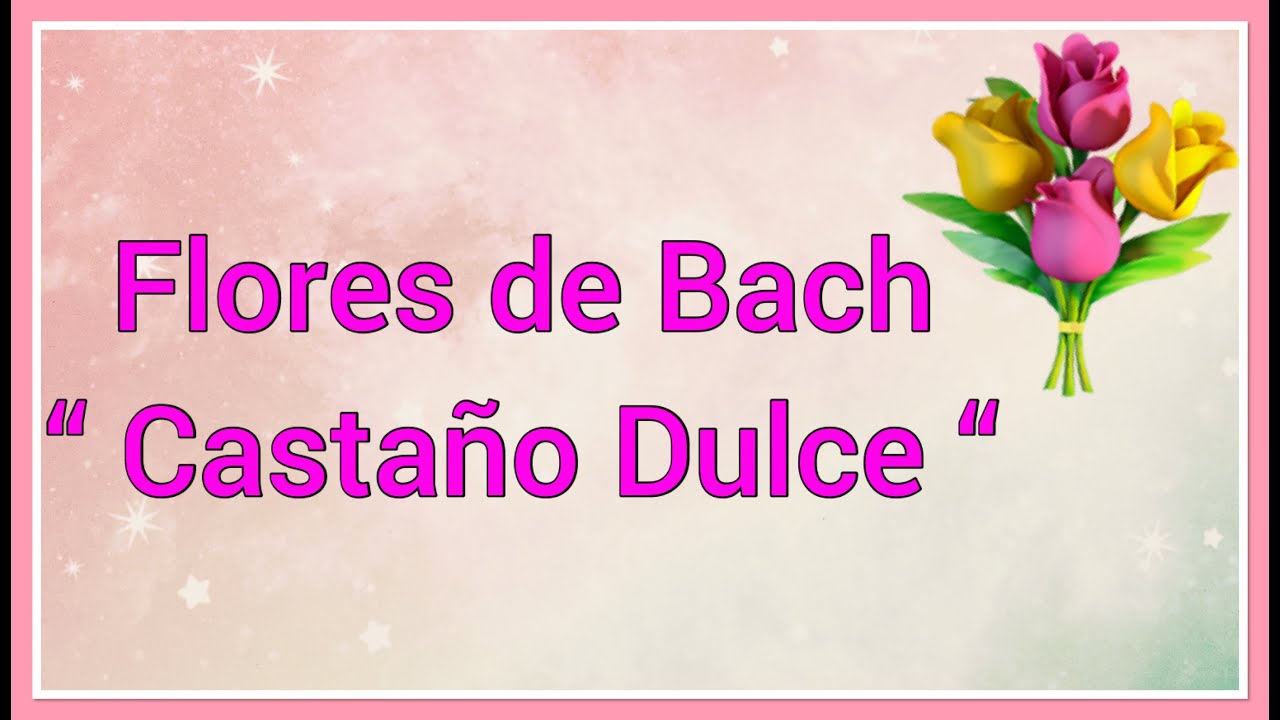 Flores de Bach “ Castaño Dulce “ Sweet Chestnut 💐
