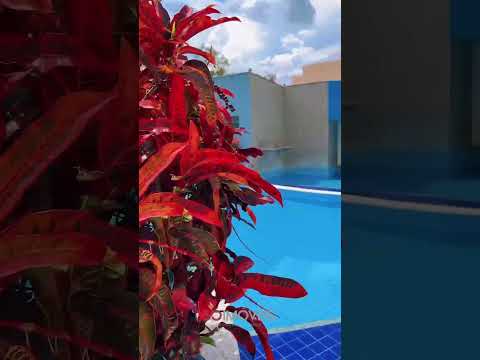 Apartamento Mobiliado à Venda no Atrium Thermas Residence Service – Caldas Novas/GO