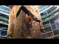 Natasha Top Roping