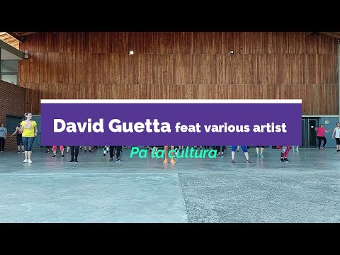 David Guetta Feat Various Artist-Pa la cultura-Vamos Zumba-Ludivine Lipari