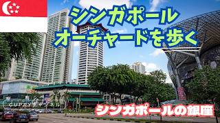 必見!!【シンガポール・オーチャード】在住者が紹介!! キラキラシンガポール全開!!　シンガポールを代表する東南アジア最大のショッピングエリア【ここは絶対行かないと】