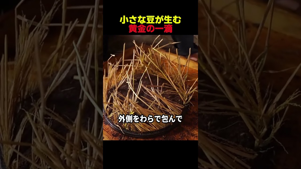 小さな豆が生む黄金の1滴