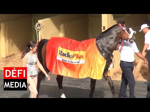 Radio Plus Trophy: Karraar s’offre son sixième bouquet