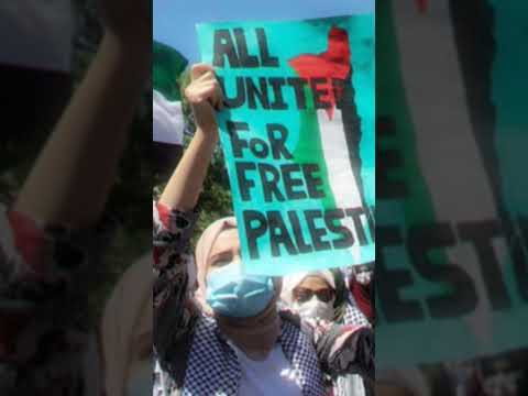 Free Palestine #palestine #gaza  #israel  #status #whatsappstatus #tiktok #tiktok2024