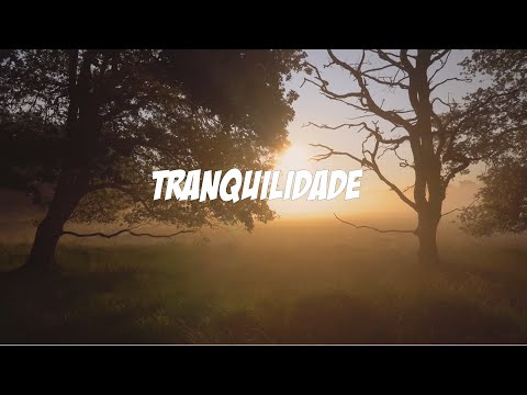 ?A MÚSICA DA TRANQUILIDADE: Como Encontrar Paz Interior Através da Música ?